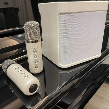 100 Вт взрывное портативное профессиональное караоке с двойным микрофоном Bluetooth динамик наружное домашнее умное внешнее устройство caixa de som
