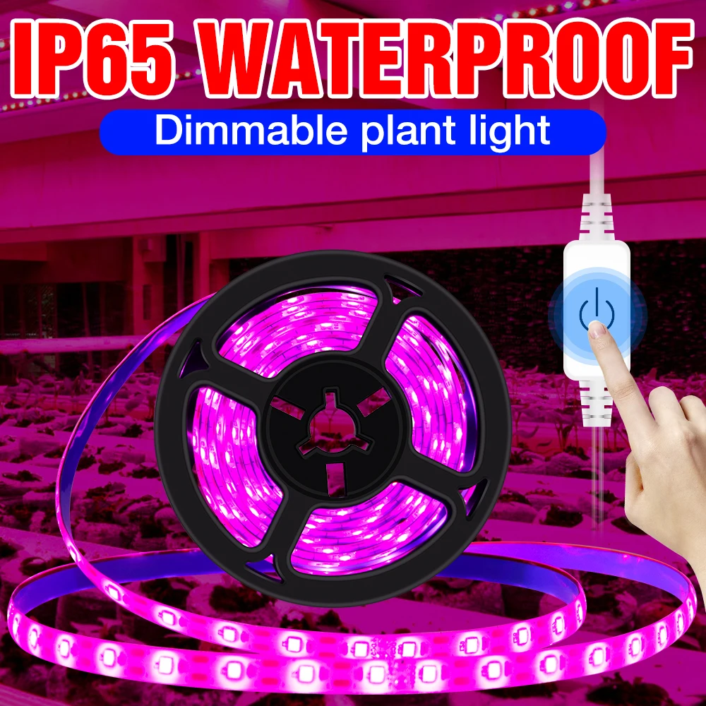 Внутренняя USB Лампа для Выращивания растений, Лампа для Выращивания Цветов на Гидропонике, Светодиодная Лампа Полного Спектра, Фито Лампа Для Роста, Полоса 1 М, 2 М, 3 М, Фитолампа 5 В